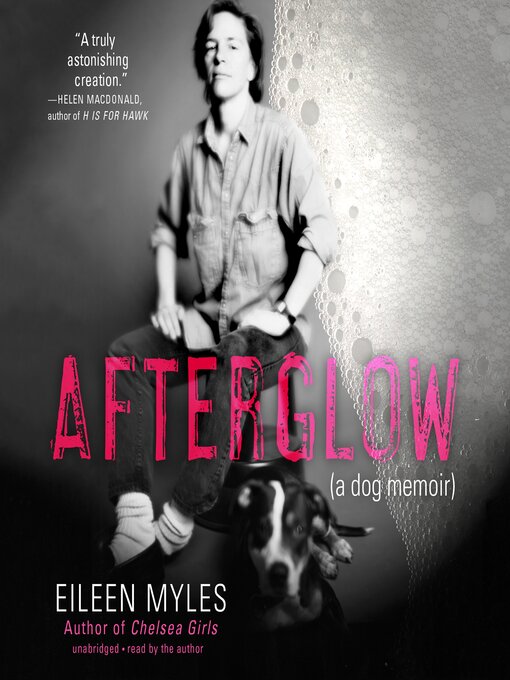 Title details for Afterglow by Eileen Myles - Available